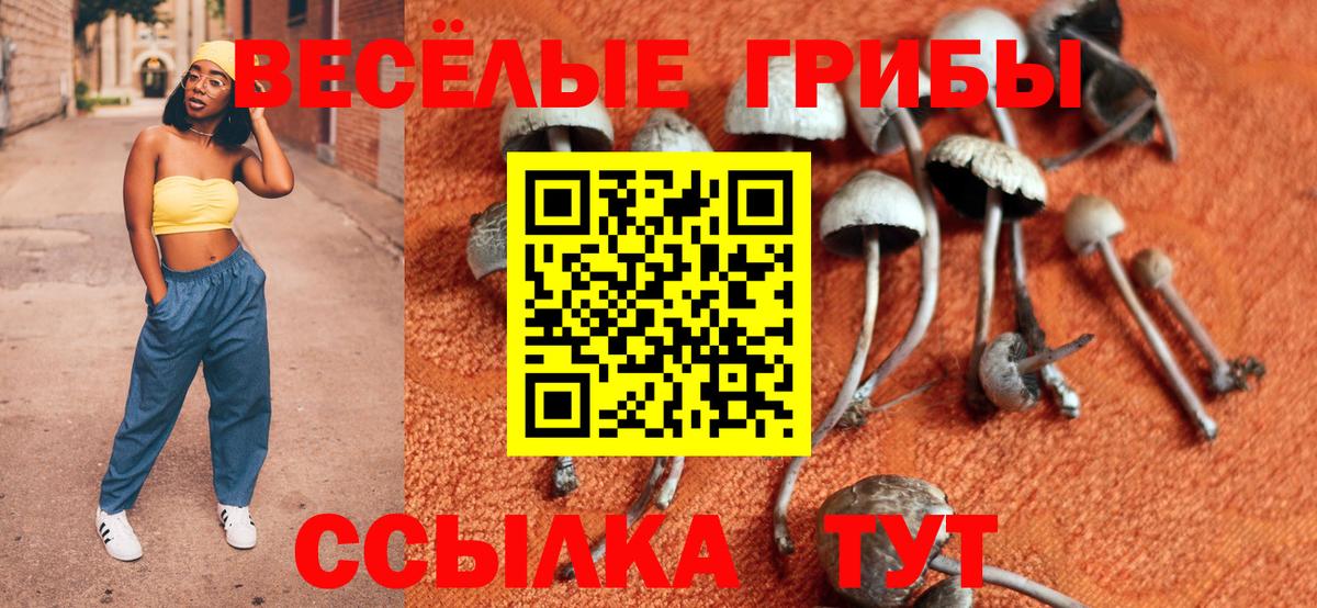 Псилоцибиновые грибы мицелий Одинцово
